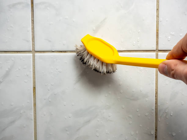Best Residential Mold Remediation in Wayne, MI