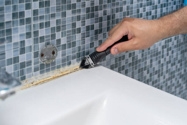 Best Black Mold Remediation in Wayne, MI