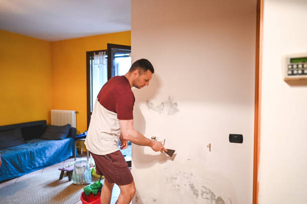 Professional Mold Remediation in Wayne, MI